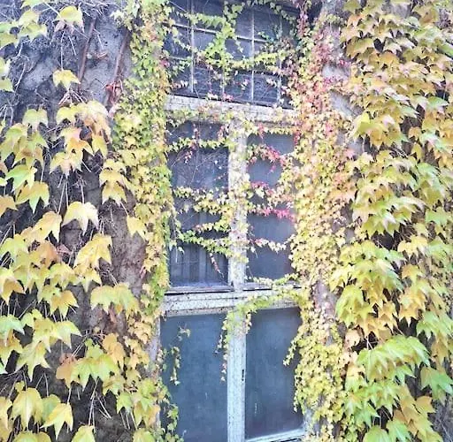 Apartament Liszt With Garage Available - Symphony 2 *