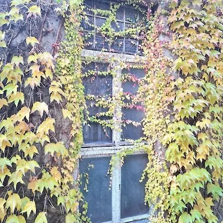 Apartman Liszt With Garage Available - Symphony 2 *